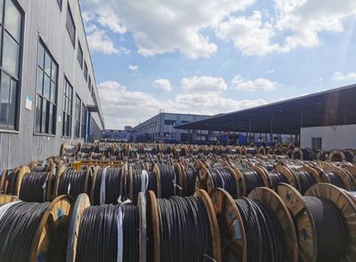 金山:推动实体产业转型发展 加快建设现代化产业体系